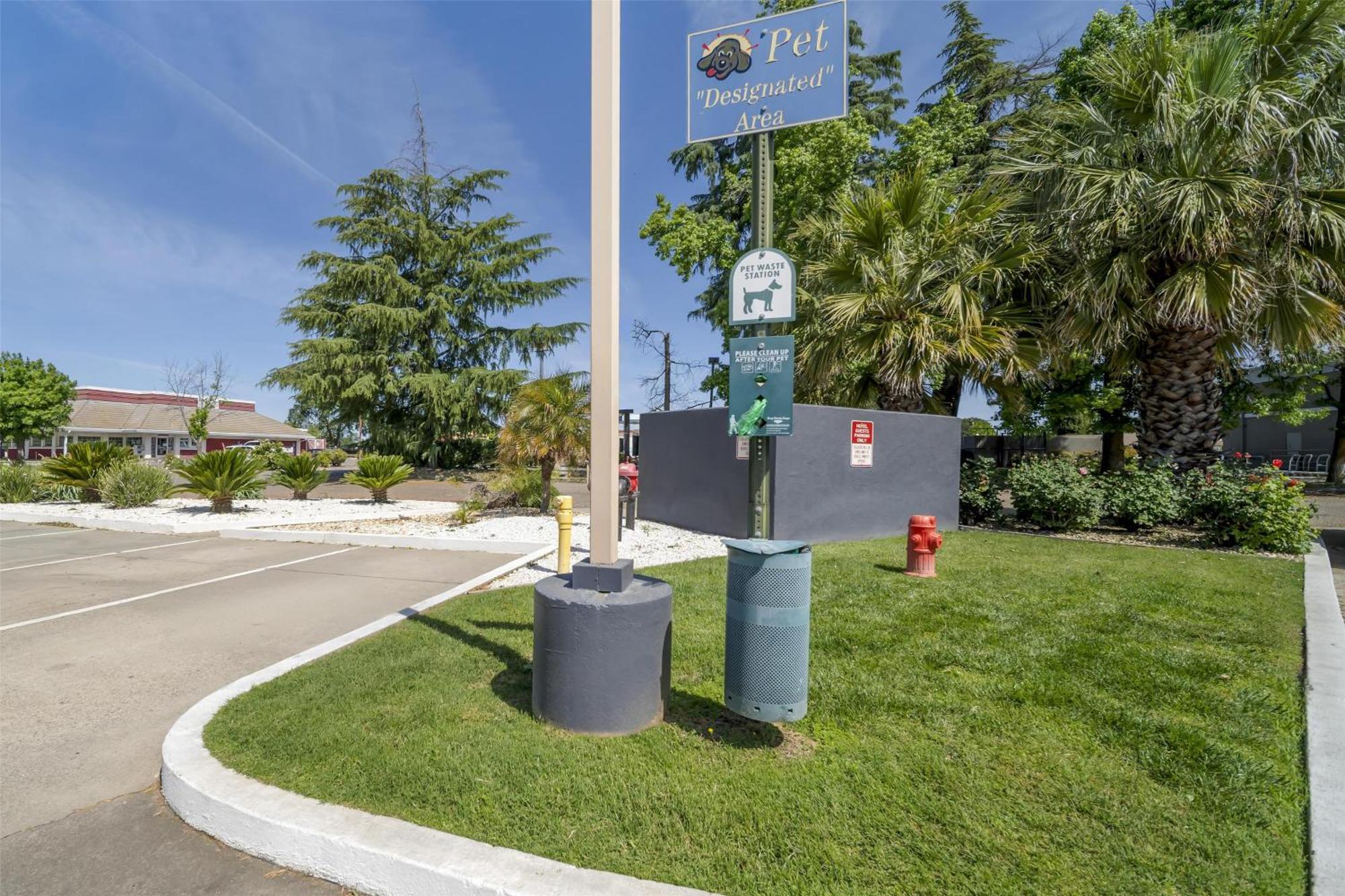 Best Western Antelope Inn & Suites Red Bluff Εξωτερικό φωτογραφία